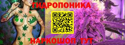 Альфа ПВП Тула