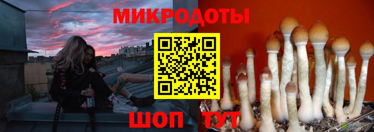 Псилоцибиновые грибы MAGIC MUSHROOMS  Псилоцибиновые грибы Magic Shrooms  Трёхгорный  Вход с VPN 